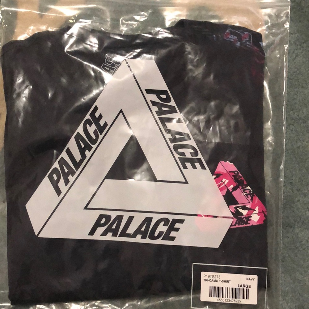 PALACE - Picture 5 of 6